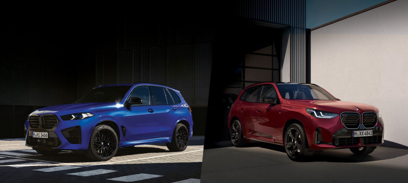 Mimoriadna BMW X ponuka. 